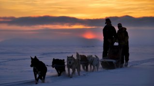 Online film Die Familie mit den Schlittenhunden