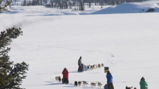 Online film Die Familie mit den Schlittenhunden