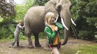 Online film Taková nenormální rodinka / Mami, já chci slona!