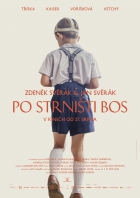 Online film Po strništi bos