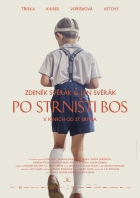 Online film Po strništi bos