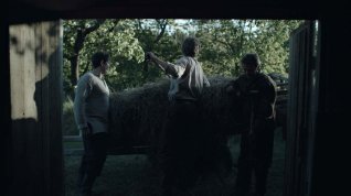 Online film Syksyn jälkeen saapuu kevät