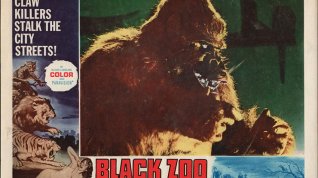 Online film Black Zoo