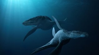 Online film SeaRex 3D: Výprava do časů dinosaurů