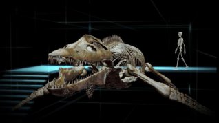 Online film SeaRex 3D: Výprava do časů dinosaurů
