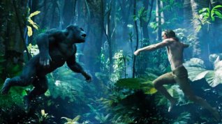 Online film Legenda o Tarzanovi
