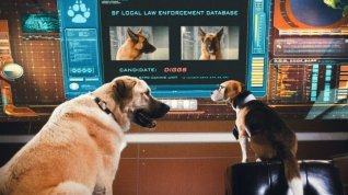 Online film Jako kočky a psi: Pomsta prohnané Kitty