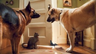 Online film Jako kočky a psi: Pomsta prohnané Kitty