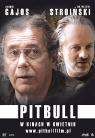 Online film Pitbull