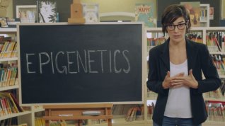 Online film Epigenetika: Jak se do nás vepisuje svět