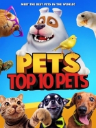 Online film Pets: Top 10 Pets