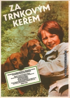 Online film Za trnkovým keřem