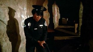 Online film Policejní akademie 2: Jejich první nasazení