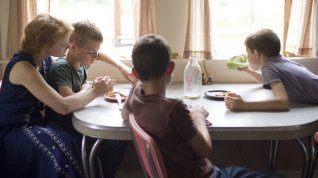 Online film Strom života