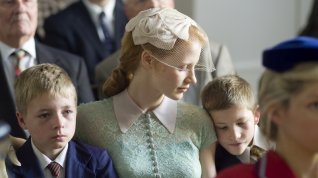 Online film Strom života