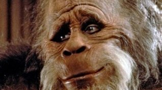 Online film Harry a Hendersonovi