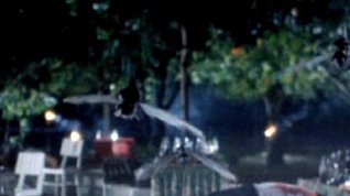 Online film Piraňa II - Létající zabijáci