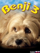 Online film Benji 3