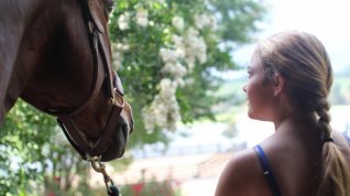 Online film A Gift Horse