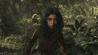 Online film Mauglí – příběh džungle