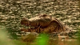 Online film Jezero