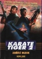 Online film Karate tiger 2: Zuřící blesk