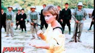 Online film Karate tiger 2: Zuřící blesk