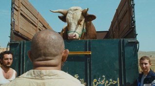 Online film Le veau d'or