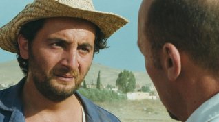 Online film Le veau d'or