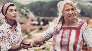 Online film Bal Kaymak