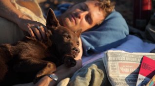 Online film Red Dog