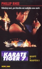 Online film Karate tiger 7: Nejlepší z nejlepších 3 - Není cesty zpět
