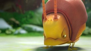 Online film Sweet Cocoon