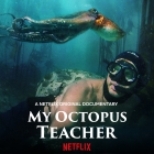 Online film Moje učitelka chobotnice