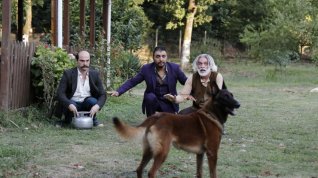 Online film Düğün Dernek 2 Sünnet