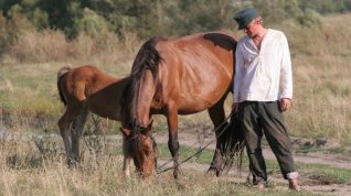 Online film Zhila-byla odna baba