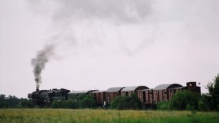 Online film Poslední vlak