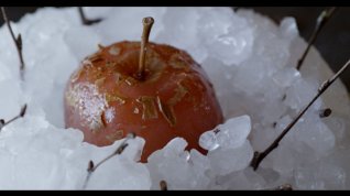 Online film Noma: Moje dokonalá bouře