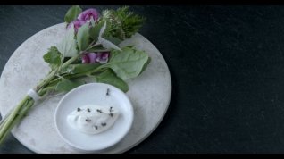 Online film Noma: Moje dokonalá bouře
