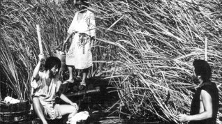 Online film Onibaba