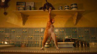 Online film Cats