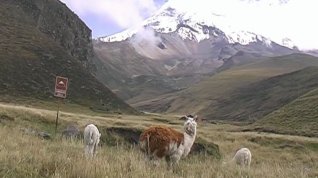 Online film Ekvádor - země na rovníku