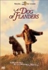 Online film Flanderský pes / Pes z Flanders