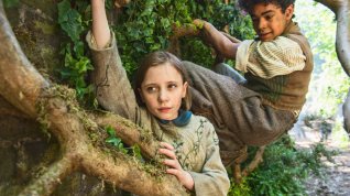 Online film The Secret Garden