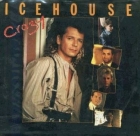Online film The Ice House