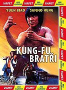 Online film Kung-fu bratři