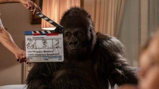 Online film Pozor na gorilu