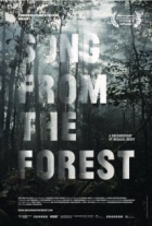 Online film Song from the Forest