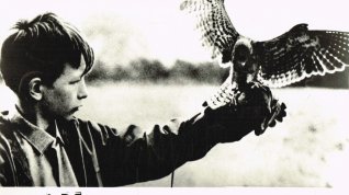 Online film Kes