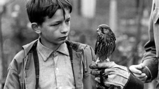 Online film Kes